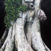 Nicky Symes - Ancient Beech (Base)